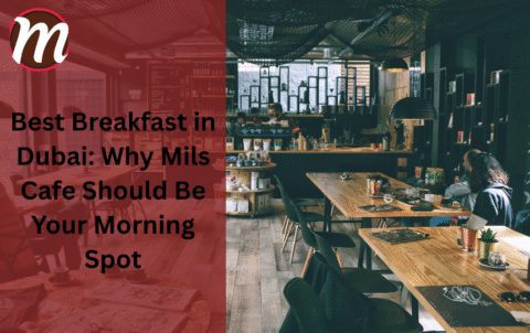 Best Affordable Dinner Restaurants in Dubai